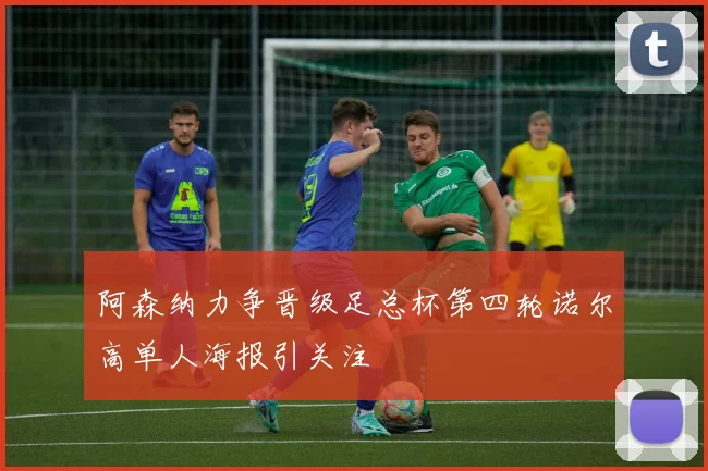 阿森纳力争晋级足总杯第四轮诺尔高单人海报引关注
