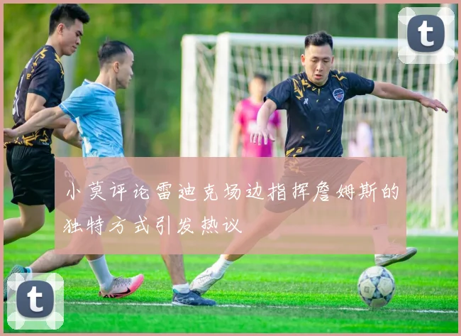 小莫评论雷迪克场边指挥詹姆斯的独特方式引发热议