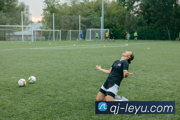 乐鱼体育平台生态图